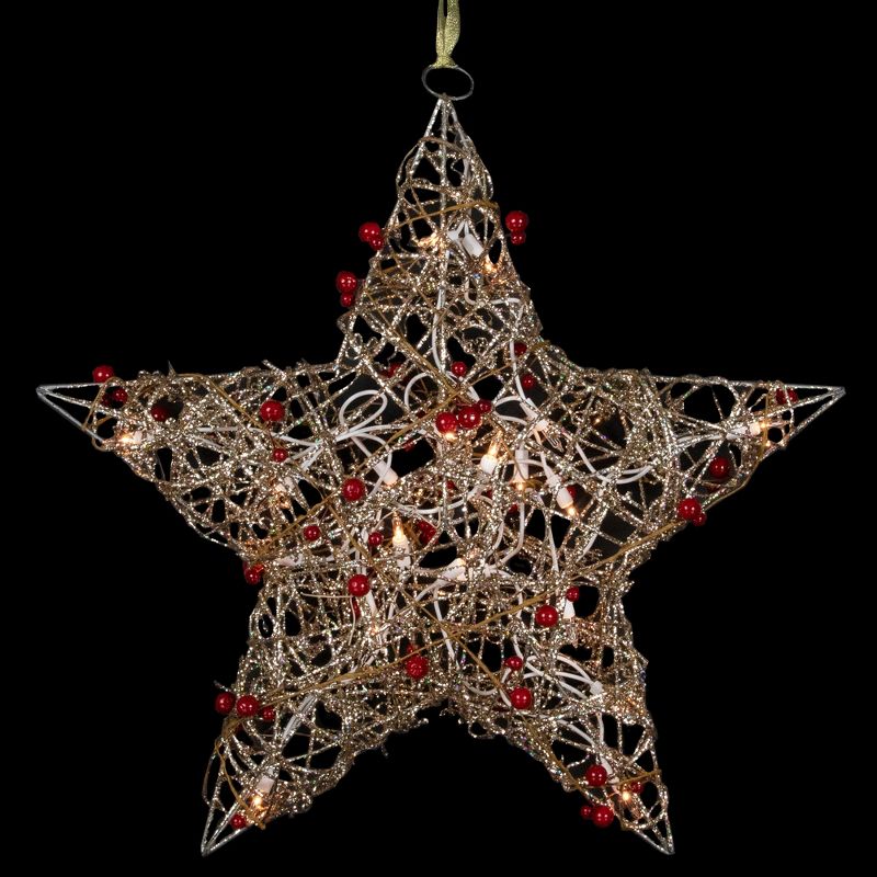 Northlight 18" Lighted Champagne Gold Glittered Rattan Berry Hanging Star Christmas Window Decoration, 1 of 7