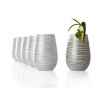 16.5oz 6pk Glass Olympia Twister Tumbler Drinkware Set - Stolzle Lausitz - 4 of 4