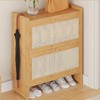 YIYIBYUS Natural Rattan Shoe Cabinet Free Standing Shoe Racks With 2 Flip Doors - 2 of 4