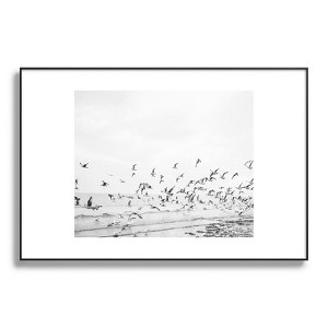 raisazwart Seagulls Coastal 24"x36" Black Metal Framed Art Print - Deny Designs - 1 of 4
