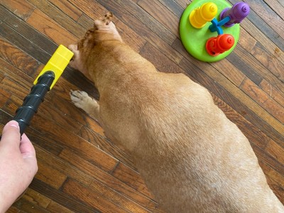 Brightkins Magic Wand Treat Dispenser Bolt Dog Toy, Large