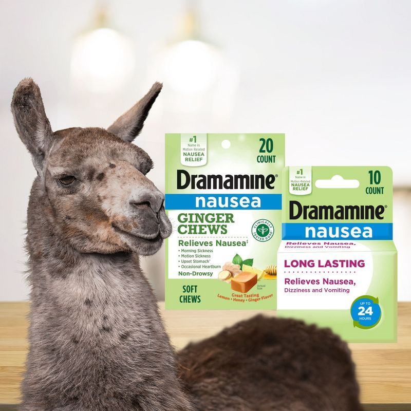 Dramamine-N Long Lasting Nausea Relief Tablets for Nausea, Dizziness &#38; Vomiting - 10ct, 3 of 8