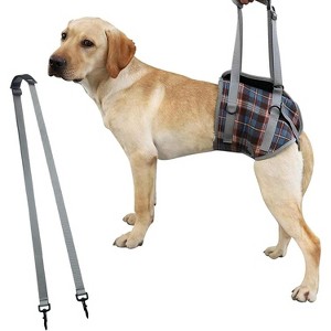 Pet Dog Leg Support Sling Adjustable Retractable Breathable Lift Harness for Eldery Dogs Injured Rear Leg Blue Plaid M (Recommended 12.5-20kg) - 1 of 4