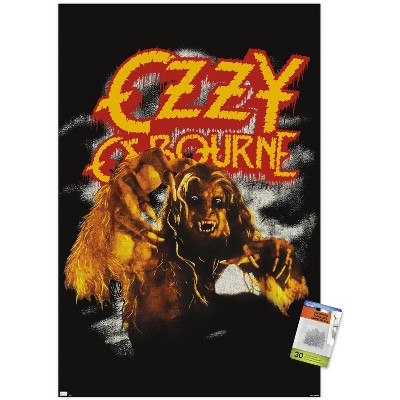 clear push pins bundle