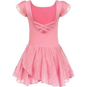Arshiner Girls Ruffle Sleeve Ballet Dance Dress Tutu Skirted Leotard - 1 of 4