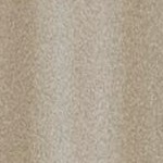 parchment
