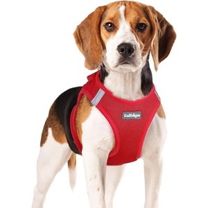 rabbitgoo Small Dog Harness, Step-in Soft Mesh Reflective Pet Harness for Small Medium Dogs, Red XL - 1 of 1