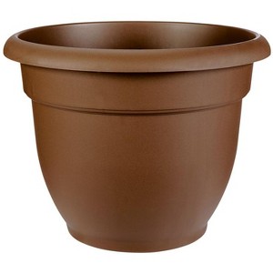 Bloem 10.2 in. H X 12 in. D Resin Ariana Planter Chocolate - 1 of 1