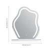 HOMLUX LED Vanity Mirror - Adjustable Light, Hanging Setting, 10X  Magnification, Smart Touch - 3 of 4