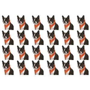 24 Pack Cotton Paisley Dog Bandanas Bulk Set for Groomers Shelters or Parties - 1 of 4