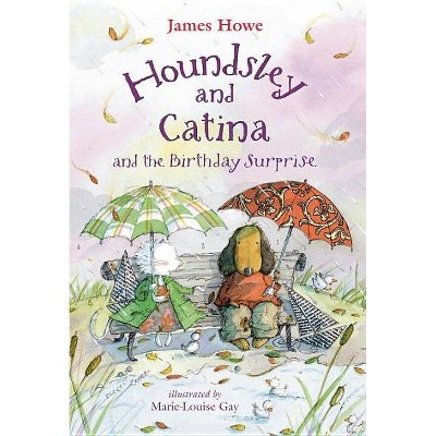 Houndsley and Catina and the Birthday Surprise - (Houndsley & Catina (Hardcover)) by  James Howe (Hardcover)