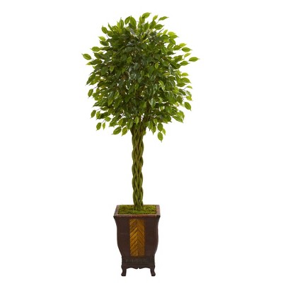 6' Artificial Braided Ficus Tree in Decorative Planter Green - Nearly Natural