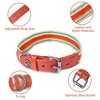 Paaaawaters Adjustable Dog Collar and Leash Set for Small Medium Large Dogs (Collar+Leash -Neck 12”-32”) - 3 of 4