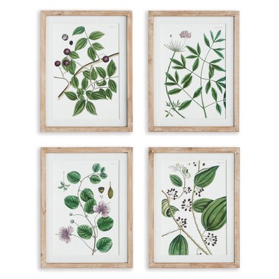Plum & Post Verdant Branch Prints, Set Of 4