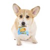 BARK Summer Big Shake Lake Cheezfish Snacks Dog Food Shaped Toy - 4 of 4