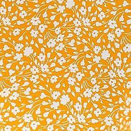 yellow white flower