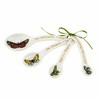 Portmeirion Botanic Garden Harmony Set of 4 Measuring Spoons - 2 of 4