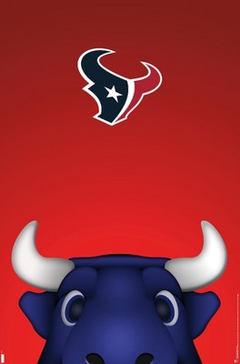 Toro the Bull of the Houston Texans nominated for spot in Mascot