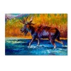 Trademark Fine Art -Marion Rose 'Autumns Glimpse Moose' Canvas Art - image 2 of 3