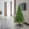 NicBex 4ft Prelit Artificial Christmas Tree with 241 Branch Tips, 100 Lights and Plastic Stand for Indoor - 4 of 4