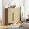 Tribesigns Shoe Cabinet with Doors, Modern Shoe Rack with Drawer - 3 of 4