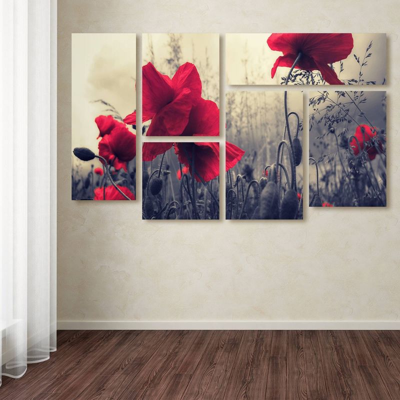 6pc Red For Love by Philippe SainteLaudy - Trademark Fine Art, 4 of 6