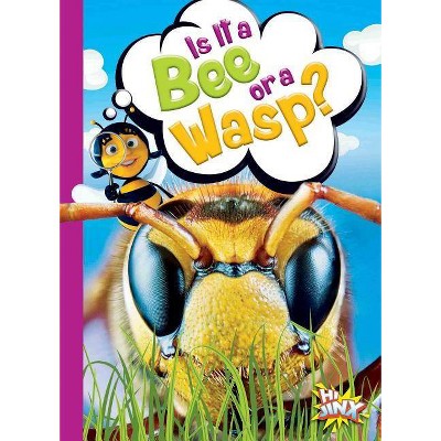 Is It a Bee or a Wasp? - (Can You Tell the Difference?) by  Gail Terp (Paperback)