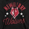 Newberry College Official Wolves Adult Pull-Over Hoodie - 2 of 4