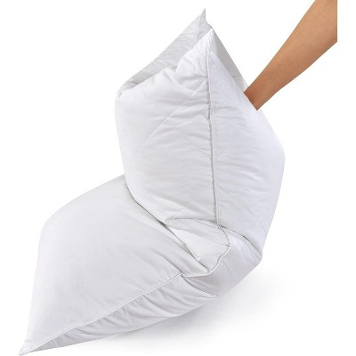 Aghana Digitals White Goose Feather Bed Pillows Set of 2, Queen/Standard Size