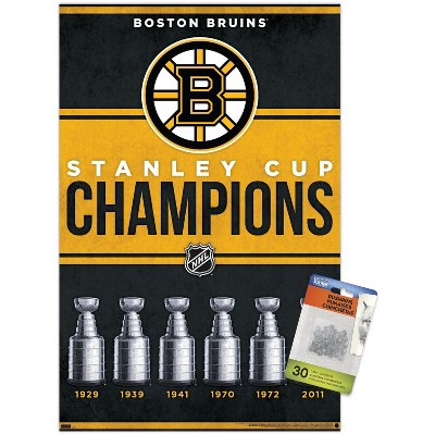 clear push pins bundle