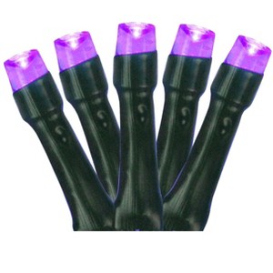 Northlight Battery Operated LED Christmas Lights - Purple - 9.5' Black Wire - 20ct - 1 of 1