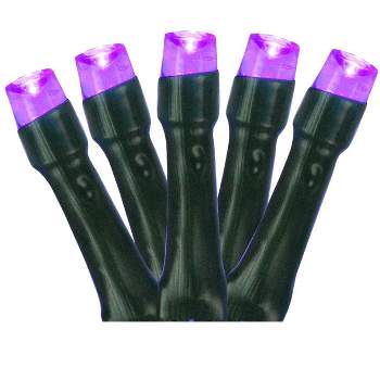 Northlight Battery Operated LED Christmas Lights - Purple - 9.5' Black Wire - 20ct