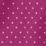 raspberry mini dot