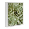 Stupell Industries Green Botanical Succulent Bloom, 17" x 17" - 3 of 4