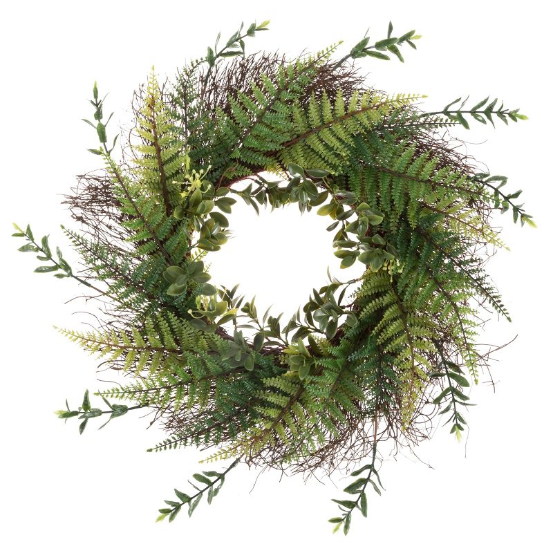 Artificial Fern Door Wreath on Grapevine Base - 21-Inch UV-Resistant Greenery with Blossoms - Slim Size for Front Porch Decor by Nature Spring (Green), 1 of 8