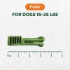 Greenies Pumpkin Spice Flavor Petite Dental and Hard Chews Dog Treats - 6oz/10ct - 4 of 4