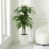5-6ft UV & Sunproof Artificial Dracaena Tree for Indoor/Outdoor - Faux Silk Plant in Tall Planter, Tall Faux Tree for Home & Garden Decor - 2 of 4