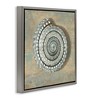 Stupell Industries Spiral Shell Beach Objects Design, 25" x 25" - 3 of 4