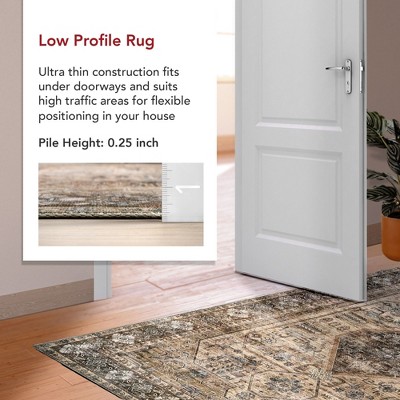 Eco-Friendly Easy Care Vintage Medallion Rug in Light Brown 3' x 5'