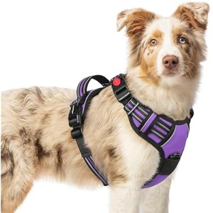 rabbitgoo Dog Harness Medium Sized, No Pull Pet Harness with 3 Buckles, , Walking Reflective Pet Vest for Medium Dogs, Purple, M - 1 of 1