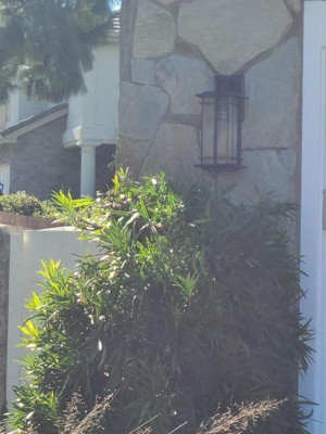 Guest review image 1 of 1, zoom in