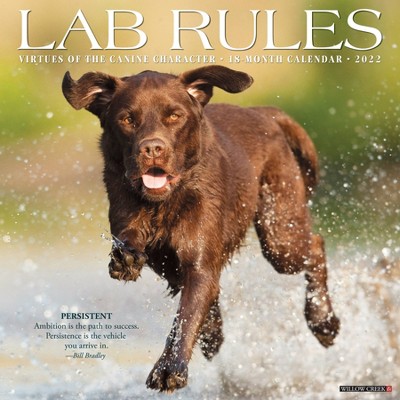 2022 Wall Calendar Lab Rules - Willow Creek Press