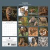 2026 Square Wall Calendar, Tigers, 16-Month Animals Theme with 180 Reminder Stickers (12x12 In) - 4 of 4