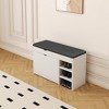 Vynxaria White Black Shoe Bench with Soft Cushion and Hidden Storage - 3 of 4