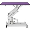 Whisen 42.5" Z-Lift Pet Grooming Table with Arm and A Noose - 4 of 4