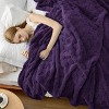 Bedsure | Cute Soft Cozy Checkered Throw Blanket for Couch - 3 of 4