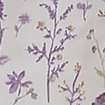colorful floral - lavender