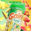 Gain Tango Laundry Beads - Pina Plumeria - 21.1oz - 3 of 4
