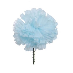 Floral Home 5" Stem Long Blue Carnation Pick - 100-Piece - 1 of 4