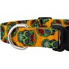 Country Brook Petz Deluxe Dog Collar Halloween Collection Made in The U.S.A. - 4 of 4